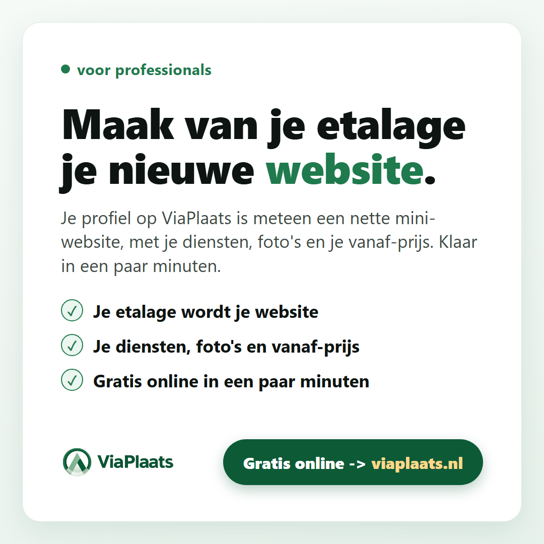 Maak van je etalage je nieuwe website