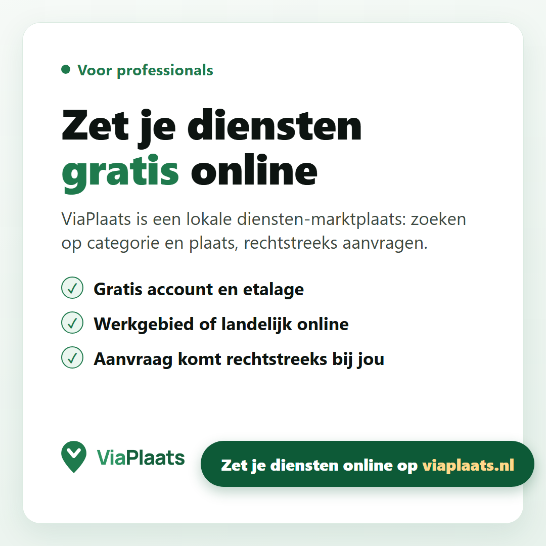 Zet je diensten gratis online